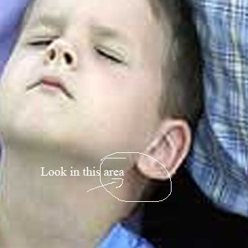 altered photo of boy praying for Terri Schiavo