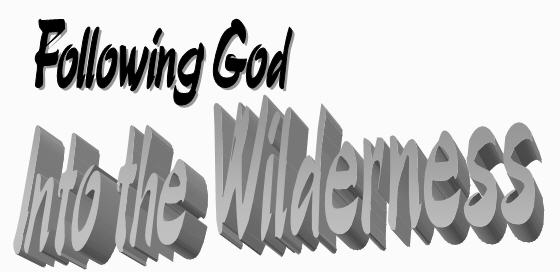 Following God into the Wilderness