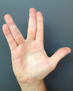 Vulcan Salute Hand Signal